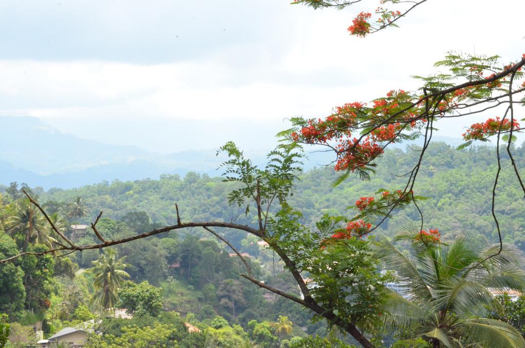 The Buena Vista Kandy Ngoại thất bức ảnh