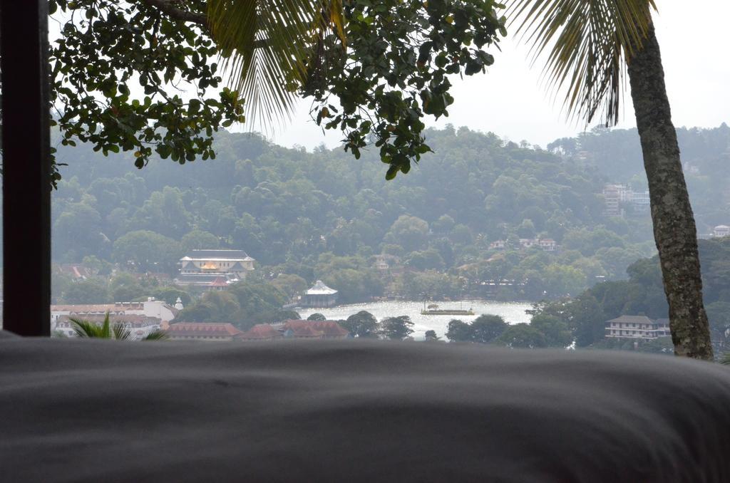The Buena Vista Kandy Phòng bức ảnh